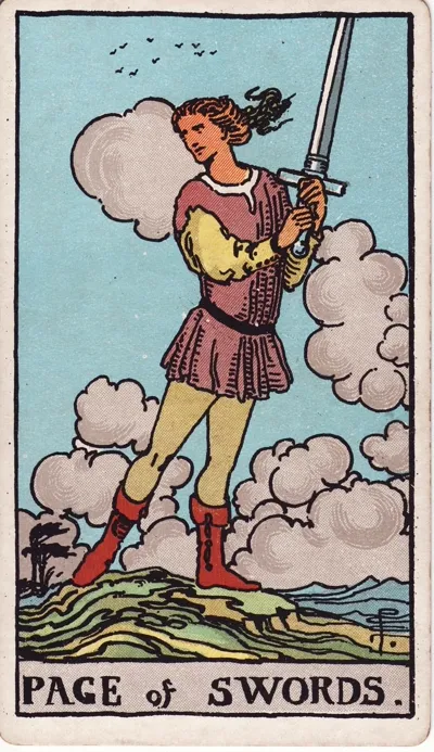 소드의 시종 타로 카드